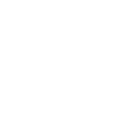Slika Rozeta R 40
