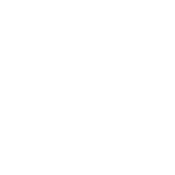 Slika Rozeta K 11