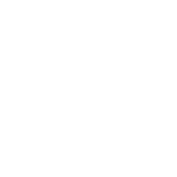Slika Rozeta R 20