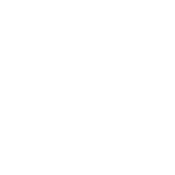 Slika Plafonska lajsna PLA 120