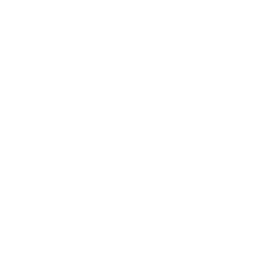 Slika Rozeta K 14