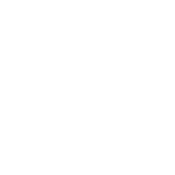 Slika Rozeta  R 30